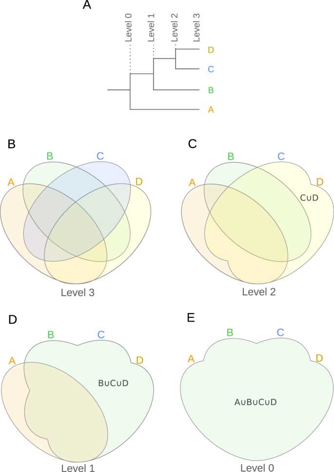 venn diagram trees body parts