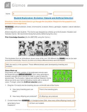 lab equipment part 1 diagram crossword answer key