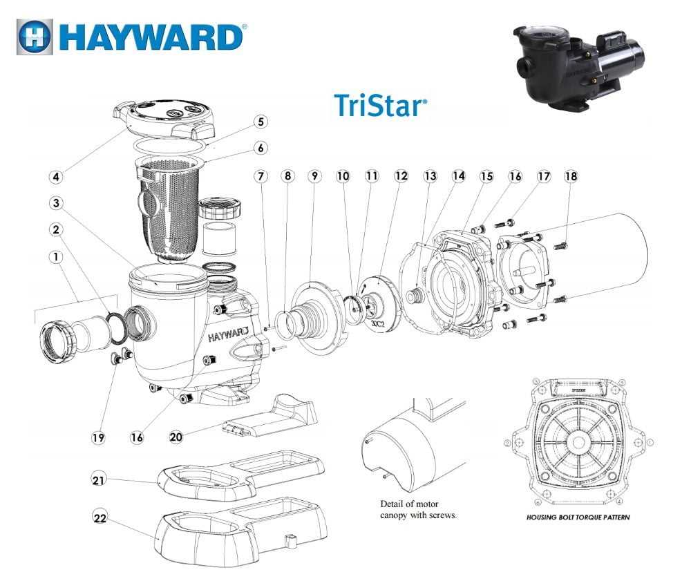 hayward pool pump motor parts diagram