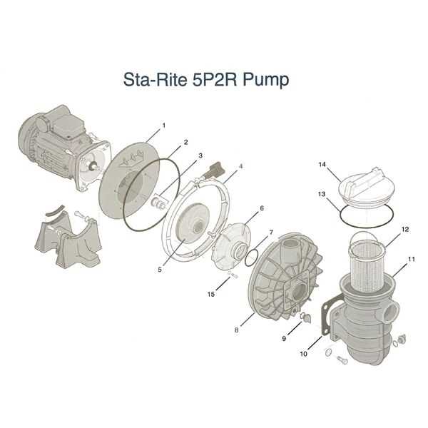 swimming pool pump parts diagram