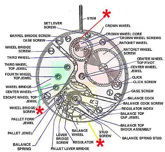 automatic watch movement parts diagram