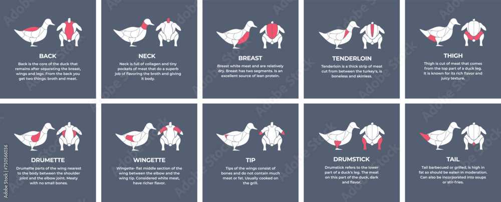 turkey parts diagram