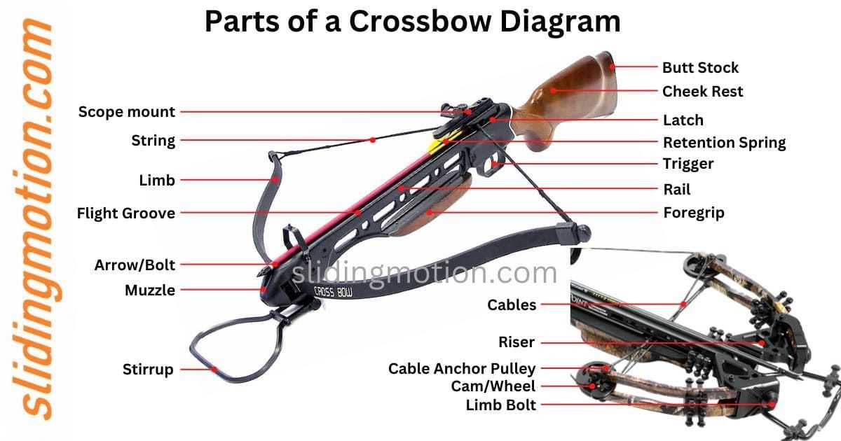 parts of a crossbow diagram