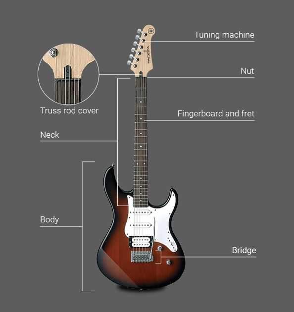 acoustic guitar parts diagram