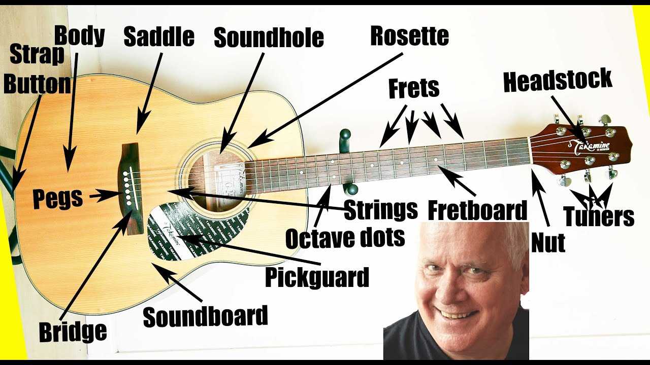 parts of a bass guitar diagram