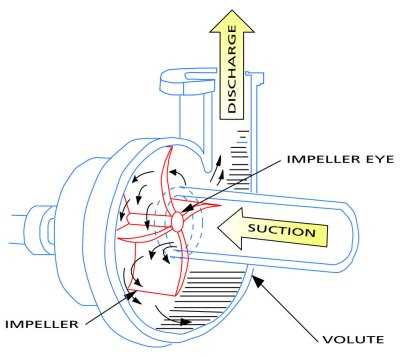 cornell pump parts diagram